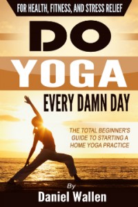 Do-Yoga-Every-Damn-Day-Cover-WP-Sidebar