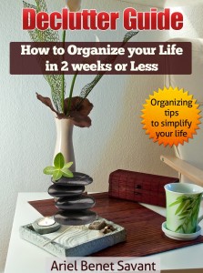 Decluttered-Guide-How-to-Organize-your-life-in-2-weeks-or-less-Ariel-Benet-Savant